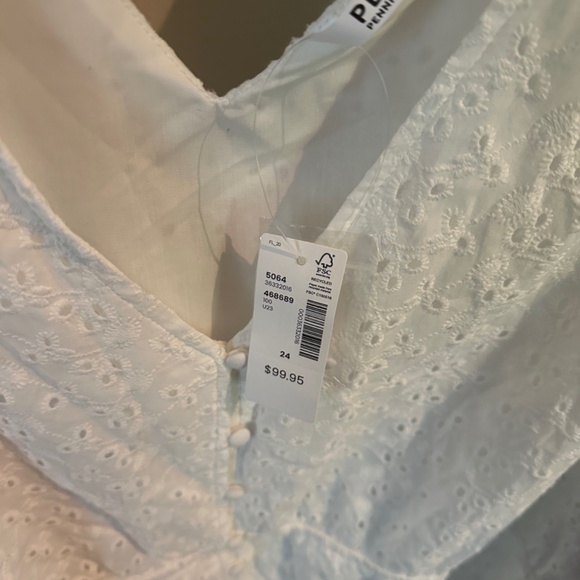 Perfect Plus-size Summer Dress: Sleeveless Eyelet Button-Down Dress - Picture 6 of 6